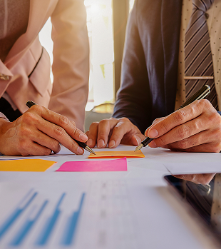 Profesyonel Proje Danışmanlık Hizmetleri